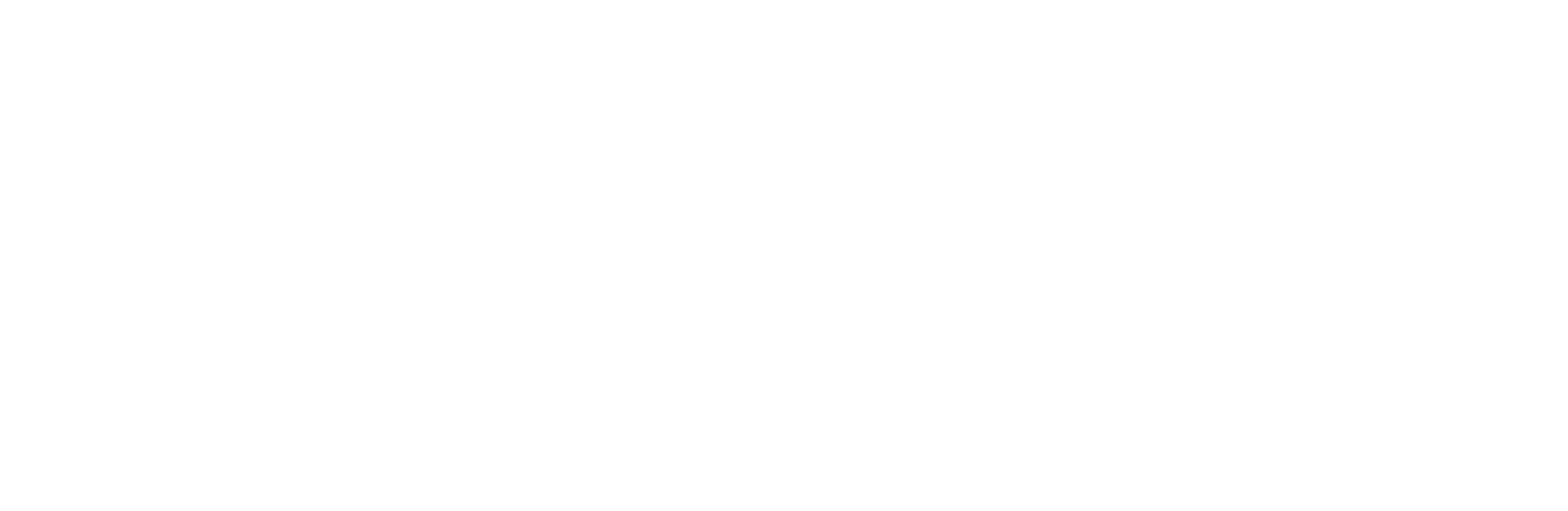 Logo LifePet